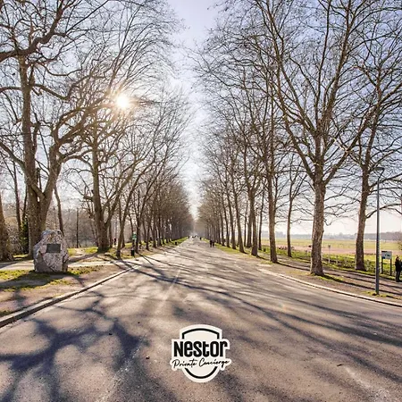 La Casa Sequoia - Peace And Quiet In The City